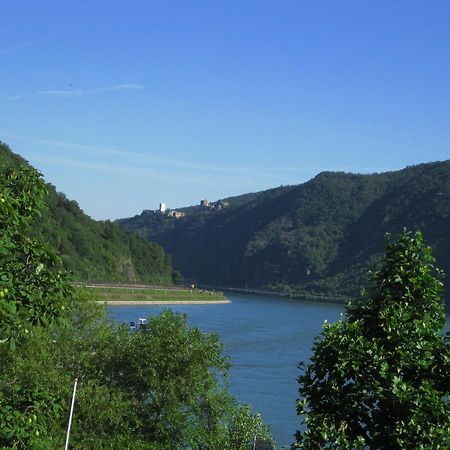 Pension / Ferienwohnungen Scheid Kestert Εξωτερικό φωτογραφία