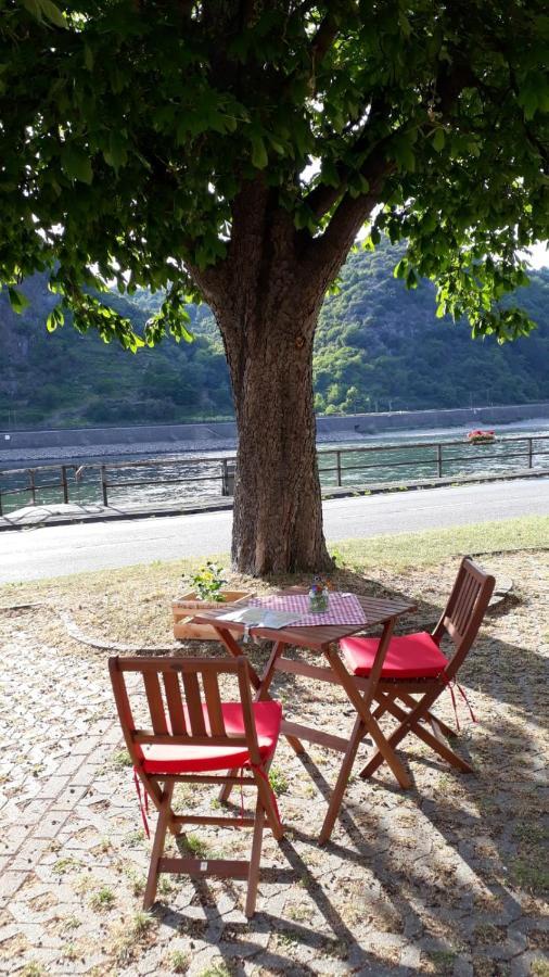 Pension / Ferienwohnungen Scheid Kestert Εξωτερικό φωτογραφία