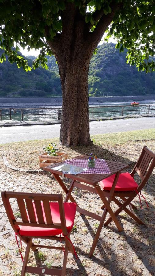 Pension / Ferienwohnungen Scheid Kestert Εξωτερικό φωτογραφία